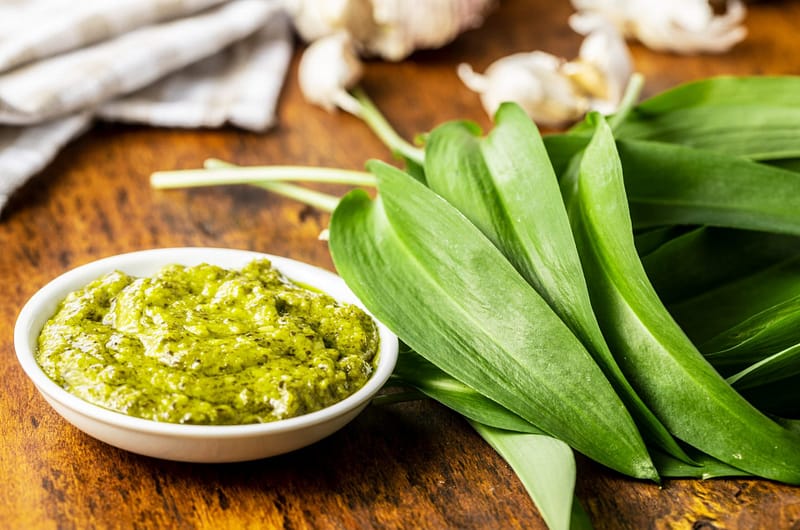 Bärlauch Pesto
